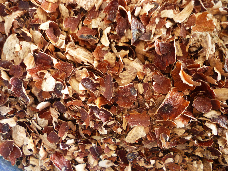 Cashew Husk